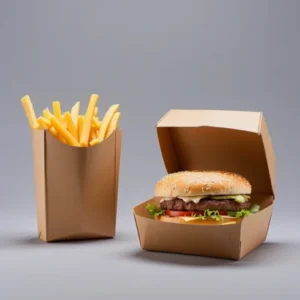 Burger Takeout Box