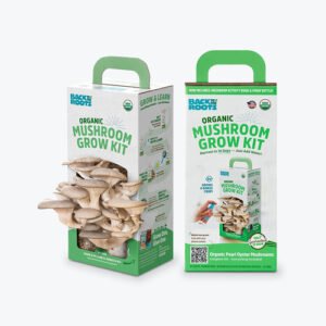 Custom Mushroom Box