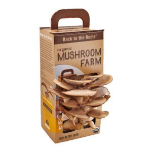 Custom Mushroom Boxes with Logo