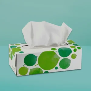 Eco Friendly Tissue Box