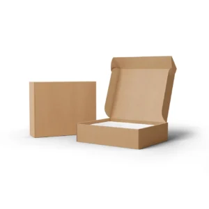 Kraft Mailer Box
