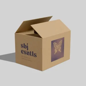 Sports Shipping Box