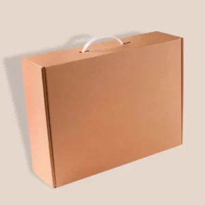 Eco Friendly Suitcase Box