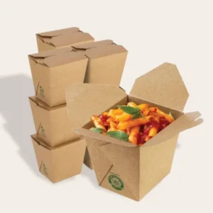 Eco Friendly Take Out Box