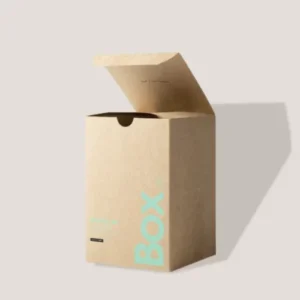 Kraft Tuck Box