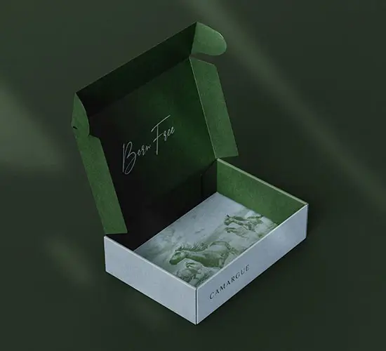 Apparel Shipping Packaging