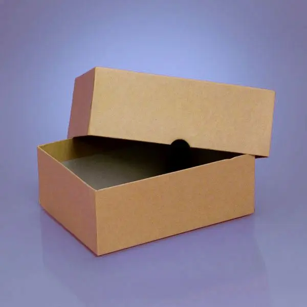 Printed cardboard boxes with lid