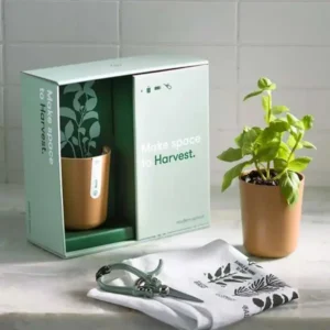 Close-up of Flower Shipping Boxes with printed logo