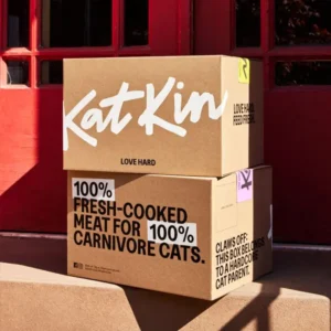 Shipping Boxes open inside view