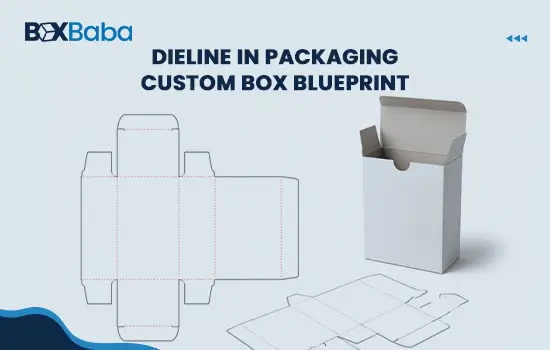 Dieline in Packaging
